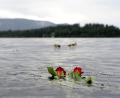 Bild: Jörg Carstensen/dpa
Das Massaker auf der Sommerinsel Utøya hat Norwegen für immer verändert. (Archivbild)