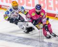 Bild: Andreas Gora/dpa
Nicolas Appendino (l) spielt künftig in Ingolstadt. (Archivbild)