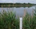 Bild: Robert Dotzauer
Der Standfuß ist noch da, aber das Fernrohr am Eschenbacher Obersee fehlt schon länger. Dazu gibt es nun Neuigkeiten.