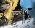 Bild: PI Schwandorf
Eine Mikrowelle verursachte nach ersten Erkenntnissen den Brand in Ettmannsdorf.