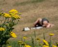 Symbolbild: Andreas Arnold/dpa
Das Wochenende wird sommerlich warm in der Oberpfalz. Nur am Sonntag könnte es zu leichten Regenschauern kommen.