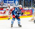 Bild: Elke Englmaier
Tomas Schmidt hier noch im Trikot der Blue Devils Weiden: Künftig soll er die Amberger Abwehr stabilisieren.