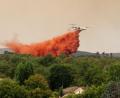 Bild: Caroline Blumberg/AP/dpa
Die Löschflugzeuge spielen bei der Bekämpfung der Waldbrände in Frankreich eine zentrale Rolle.