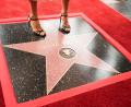 Bild: Chris Pizzello/Invision/AP/dpa
Die britisch-australische Schauspielerin Naomi Watts hat im Herzen von Hollywood einen festen Platz. (Archivfoto)