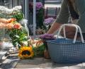 Bild: Armin Weigel/dpa
Eine Frau legt eine Karte zu Blumen und Kerzen, die vor der Bankfiliale abgelegt wurden. Nach der tödlichen Messerattacke in einer Regensburger Bank versucht die Kriminalpolizei weiter, die Hintergründe aufzuklären.