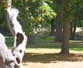 Symbolbild: Gabi Schönberger
Ein 42-jähriger Mann ist im Max-Reger-Park in Weiden offenbar im Schlaf bestohlen worden.