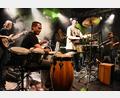 Bild: Uwe Nitzl
Die „kleine“ Bigband Hot Cargo spielt im Innenhof der Regionalbibliothek Weiden.