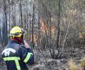 Bild: Katharina Kausche/dpa
Die Feuerwehr kämpft gegen eine Reihe wiederaufflammender Brände.