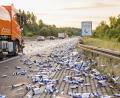 Bild: Schulz/SDMG/dpa
Mit Red Bull Dosen übersät ist die Autobahn 8 zwischen Heimsheim und Pforzheim-Süd, nachdem ein Lkw seine Ladung verloren hat.