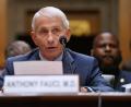 Bild: Allison Robbert/AP/dpa
Der US-Immunologe Fauci hat von seinem Schweigerecht Gebrauch gemacht.