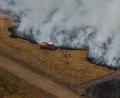 Bild: Baz Ratner/Pool AP/dpa
Der Klimawandel führt Fachleuten zufolge dazu, dass brandfördernde Bedingungen häufiger auftreten.