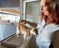 Bild: Gabi Schönberger
Schwer vermittelbaren Tieren schenkt Tierheimleiterin Daniela Riedl besondere Aufmerksamkeit. Der circa 13 Jahre alte rot-weiß gestreifte Kater Milan genießt es. Im Frühjahr war er in desolatem Zustand bei Kemnath gefunden worden.