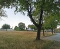 Bild: Gertraud Portner
Der Stadtrat Oberviechtach spricht sich mehrheitlich dagegen aus, die Wiese im Friedhof mit Baumpflanzungen als "Park der Erinnerung" aufzuwerten. Der neue Friedhofsteil (im Hintergrund rechts) soll aber noch naturnaher werden.