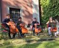 Bild: Willi Cantzler
Cosima Regina Federle, Constantin Heise, Alexander Wollheim und Aaron Woyniewicz-Böer bringen mit ihren Melodien das Publikum bei den Wurzer Sommerkonzerten zum Schmelzen.
