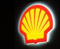 Bild: Hannes P Albert/dpa
Vor allem das Gasgeschäft, die Förderung und die Chemiesparte trugen zum Zuwachs bei Shell bei. (Archivbild)