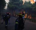 Bild: Michael Varaklas/AP/dpa
Aus der Luft gibt es wegen stürmischer Winde keine Hilfe - die Feuerwehrleute sind am Boden auf sich gestellt.