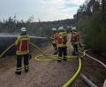 Bild: Feuerwehr Dießfurt
Schnell konnte der Brand in der Nähe des Dießfurter Freizeitsees eingedämmt werden.