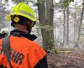 Bild: Heike Unger
Der Brand im Wald bei Freudenberg war am Samstagmittag so weit unter Kontrolle, dass sich das Feuer nicht weiter ausbreitete. Im Wald schwelt es jedoch weiter.