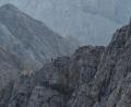 Bild: Angelika Warmuth/dpa
Der Jubiläumsgrat ist eine anspruchsvolle und lange Bergtour. (Archivbild/Illustration)