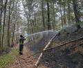 Bild: Florian Schlegel
Auch am Sonntag dauern die Löscharbeiten beim Waldbrand in Freudenberg noch an. Ein Hauptaugenmerk liegt am Sonntag auf den Glutnestern.
