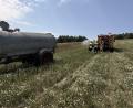 Bild: Lukas Büchold
Wiesenbrand bei Dauching: Ein Landwirt konnte mit Grubber und Güllefass schon löschen, bevor die Feuerwehr da war. Die Einsatzkräfte sprühten dann noch Wasser über die Brandfläche und die danebenliegende Wiese, um ein erneutes Aufflammen auszuschließen.