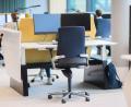 Bild: Philip Dulian/dpa/dpa-tmn
Ruhe im Büro? Viele wollen mehr Rücksicht beim Arbeiten