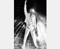Bild: Giuseppe Ravazzolo
Forever Queen feiert Freddie Mercurys 80. Geburtstag.
