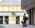 Bild: Karl-Josef Hildenbrand/dpa
Ein 16-Jähriger wurde nach dem Angriff auf dem Schulgelände Anfang Juli festgenommen. (Archivbild)