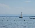 Bild: Katrin Requadt/dpa
Der Starnberger See führt derzeit weniger Wasser als üblich. (Archivbild)