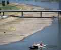 Bild: Federico Gambarini/dpa
Für den Schiffsverkehr wird der niedrige Wasserstand im Rhein zunehmend zum Problem.