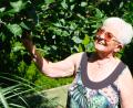 Bild: Fred Lehner
Der Hausgarten und die Blumenpflege erfahren Tag für Tag Betreuung und Pflege durch Sieglinde Sommer, die ihren 85. Geburtstag feierte.