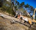 Bild: Moritz Frankenberg/dpa
Dinosaurier konnten viele Tonnen schwer werden - aber offenbar nicht so klein, dass sie nur ein paar Gramm wogen. (Archivbild)