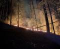Bild: Armin Daubenmerkl
Dienstag gegen 21 Uhr, vier Tage nach dem Ausbruch des Waldbrandes flackern wieder Flammen am Johannisberg.