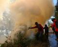 Bild: JNA via ZUMA Press Wire/dpa
Der Brand war am Montag ausgebrochen.