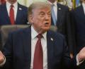 Bild: Rod Lamkey/FR172078 AP/dpa
Trump ist als vehementer Windkraftgegner bekannt. (Archivbild)
