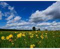 Bild: Patrick Pleul/dpa
Das Wochenende bringt Temperaturen von mehr als 30 Grad mit sich.