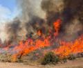 Bild: Uncredited/U.S. Forest Service/Fishlake National Fores/AP/dpa
Derzeit brennt es vielerorts in Utah (Handout).