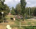 Bild: Werner Robl
An Sommertagen wird es erst am Abend an der Kipp ruhiger. Der größte der Waldseen, einstmals waren sie Kaolingruben, ist ein beliebter Ort für Klein und Groß.