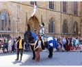 Bild: Heidi Franitza
Hoch zu Ross: Ritter Jörg von Leuchtenberg am Amberger Marktplatz.