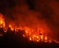 Bild: Darryl Dyck/The Canadian Press via AP/dpa
Wegen schwerer, sich rasant ausbreitender Waldbrände hat die westkanadische Provinz British Columbia den Notstand ausgerufen.