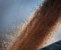 Bild: Karl-Josef Hildenbrand/dpa
Das Getreide in Bayern ist weitgehend geerntet. Jetzt geht es um die Logistik. (Symbolbild)