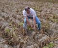 Bild: Roberto Pfeil/dpa
Viele Betriebe sind laut Bauernverband in bedrohlicher Lage. (Archivbild)