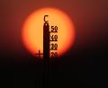 Bild: Thomas Warnack/dpa
Mehrere Hitzewellen haben die Temperaturen vielerorts auf Rekordwerte getrieben. (Archivbild)