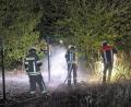 Bild: Feuerwehr Weiden
Rund 20 Quadratmeter an Gras und Sträuchern verbrannten bei dem Feuer in der Nähe des Weidener Open-Air-Kinos. Die Kino-Reihe findet beim VfB Weiden zwischen dem 7. und dem 16. August statt.