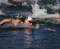 Bild: Gian Mattia D'alberto/LaPresse via ZUMA Press/dpa
Florian Wellbrock war im Freiwasser auch in den USA nicht aufzuhalten. (Archivbild)
