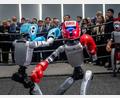 Bild: Michael Kappeler/dpa
Roboter der Firma Unitree während einer Präsentation beim China-Besuch von Bundeskanzler Friedrich Merz (CDU). (Archivbild)