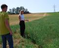 Bild: Thorsten Schreiber
Bio-Landwirtin Kathrin Brunner zeigt Mathias Beutner, Pflanzenbau-Experte im Amt für Ernährung, Landwirtschaft und Forsten Tirschenreuth-Weiden, wie gut die Luzerne mit der Trockenheit zurechtkommt. Die andere Hälfte des Felds bei Eisersdorf ist gelb, dort wächst aktuell nichts.