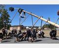 Bild: Michael Rabenhofer
Beim Baumaufstellen gaben die Burschen aus Rieden mit ihren Kameraden aus Ensdorf und Thanheim alles. Dieter Hofmeister leitete an und zwischendurch hieß es: Hydration Brake....also Trinkpause.