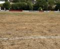Bild: DJK Weiden
Eher ein Stoppelfeld als ein Fußballplatz: So wie in Kohlberg sieht es aktuell auf vielen Sportplätzen in der Region aus.