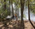 Bild: PI Schwandorf, PHMin Sedelmaier
Am Dienstag brannte eine Waldfläche bei Steinberg am See.